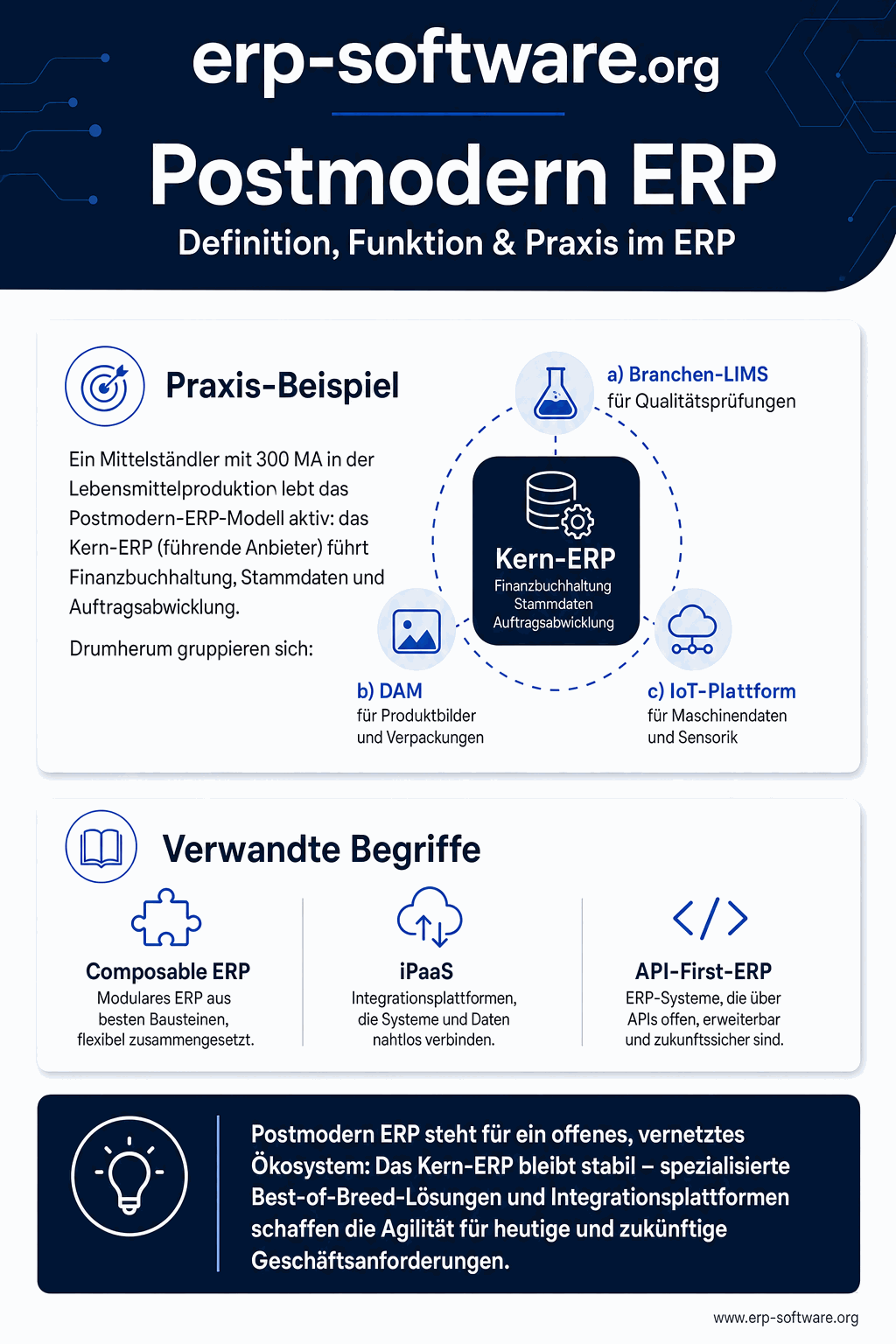 Infografik: Postmodern ERP