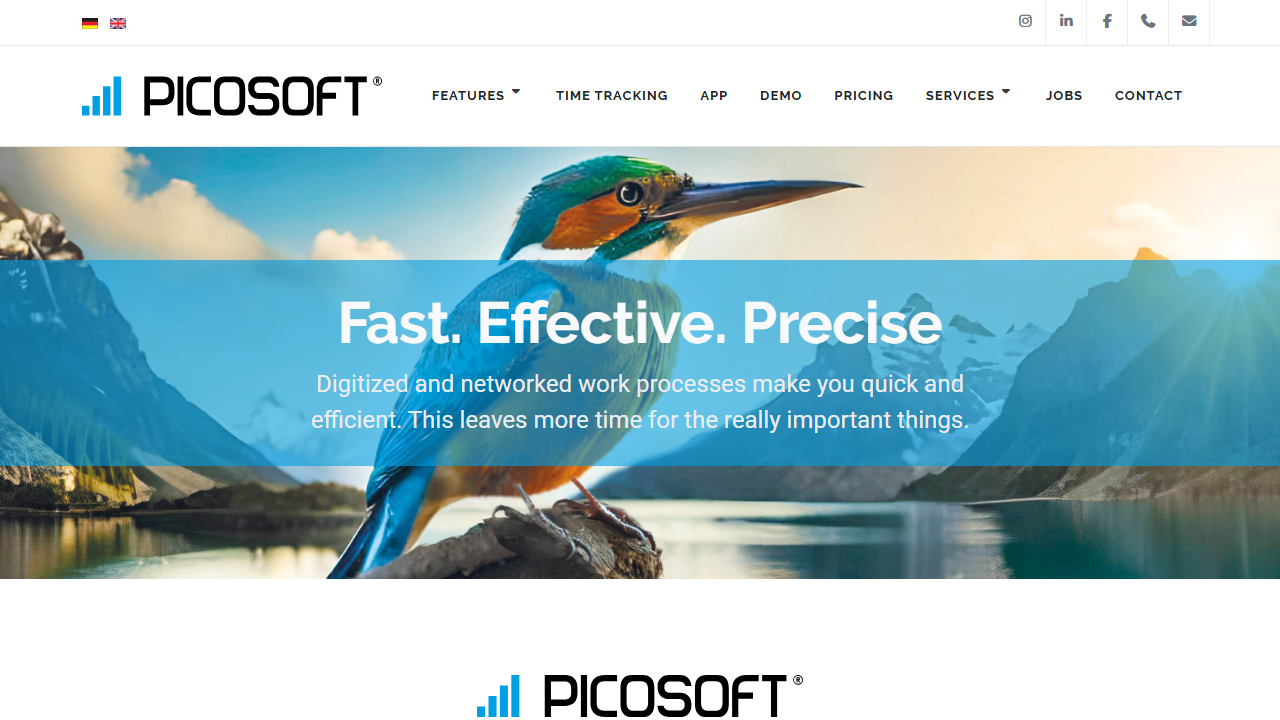 Screenshot of the homepage of Picosoft