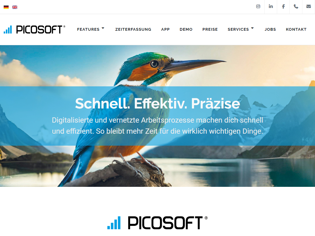Screenshot der Homepage von Picosoft