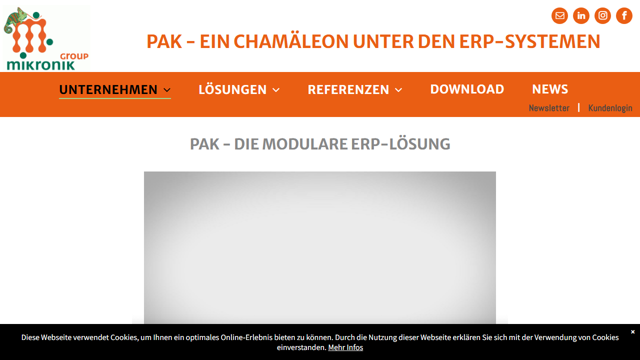 Screenshot of the homepage of PAK ERP/PPS