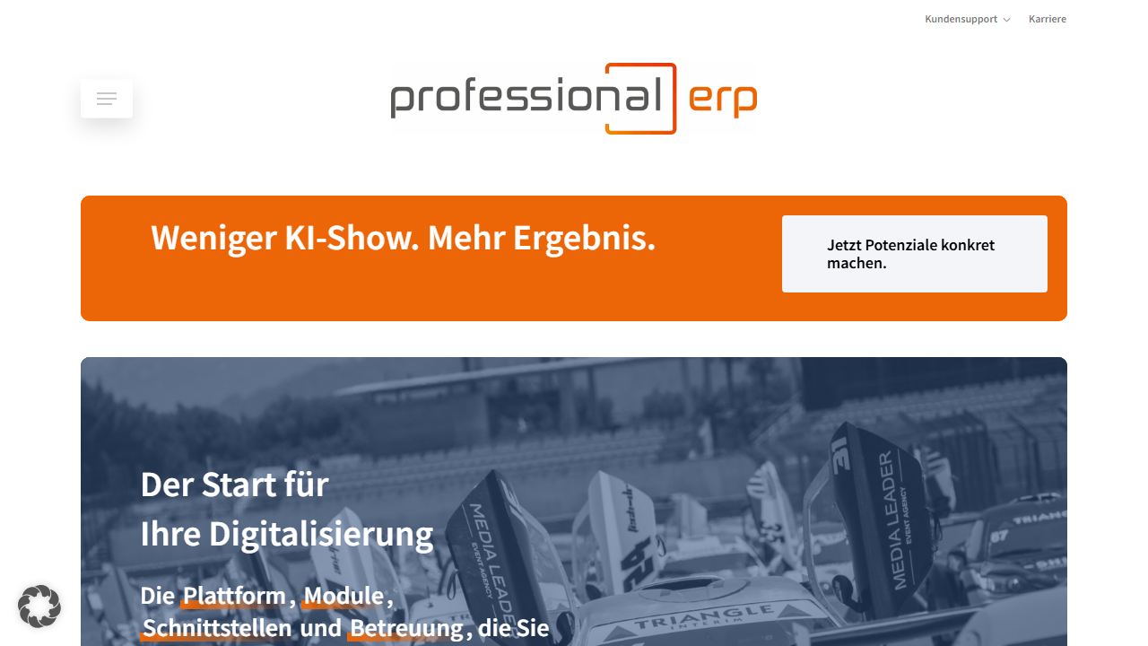 Screenshot of the homepage of Professional ERP