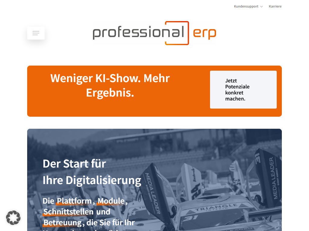Screenshot of the homepage of Professional ERP