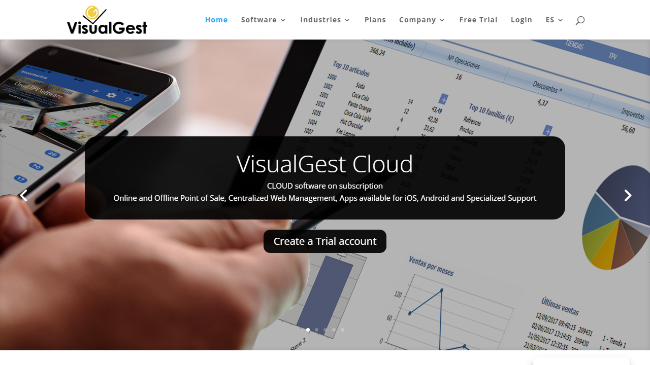 Screenshot of the homepage of VisualGest