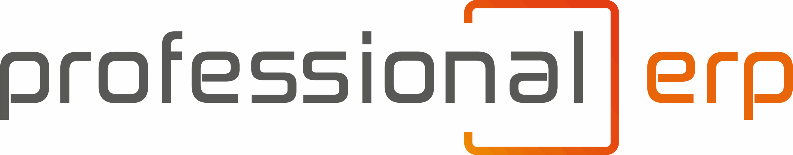 Professional ERP Logo