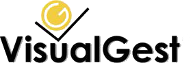 VisualGest Logo